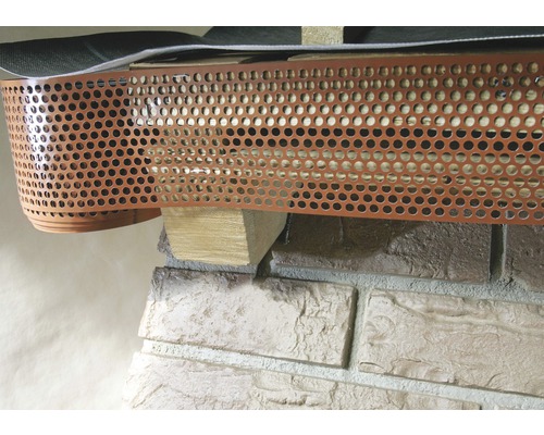 Nahaufnahme eines perforierten Traufblechs zum Schutz vor Laub.