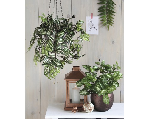 Dekorative Innenszene mit Hängepflanze, Zimmerpflanze und Windlicht auf einem Tisch.