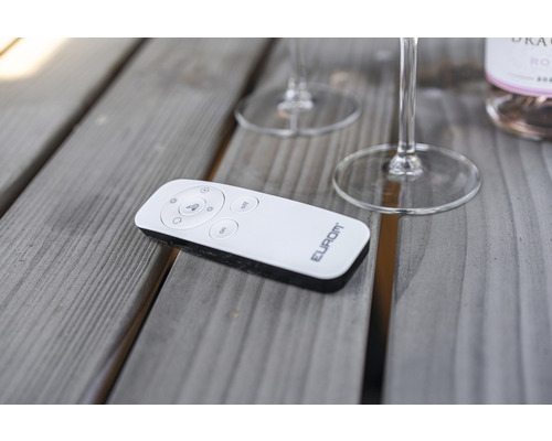 Eurom Fernbedienung auf einem Holztisch