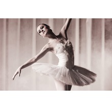 Eine Ballerina in Pose mit Tutu.