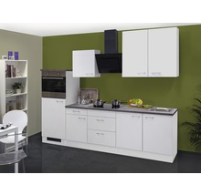 Komplette Küche mit Hängeschränken, Dunstabzugshaube, Spüle und eingebautem Backofen.