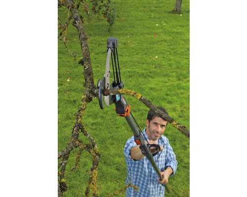 Ein Mann benutzt eine Astschere mit Stiel, um einen Baumast zu schneiden.