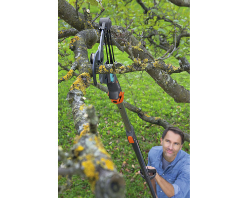 Eine Person benutzt eine Astschere mit Teleskopstiel, um einen Ast zu schneiden.