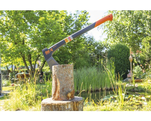 Axt im Baumstamm im Garten