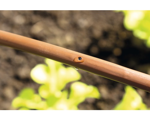 Nahaufnahme eines Bewässerungsschlauchs mit einem Tropfen Wasser am Austrittsloch zur Gartenbewässerung