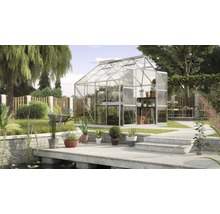 Gewächshaus im Garten mit Pflanzen und Gartengeräten