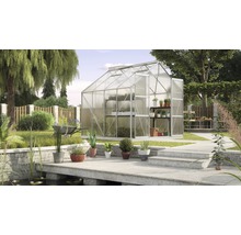 Gewächshaus im Garten mit Pflanzenregalen und Gartenzubehör.