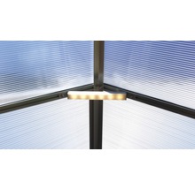 Innenansicht eines Gewächshauses mit Polycarbonatplatten und Beleuchtung