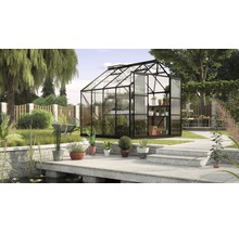 Gewächshaus im Garten mit Pflanzen und Gartengeräten