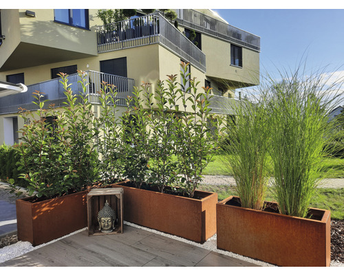 Dekorative Pflanzkästen aus Metall mit Pflanzen im Außenbereich vor einem Gebäude.