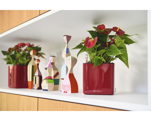 Dekoratives Regal mit Zimmerpflanzen im Topf und Holzfiguren