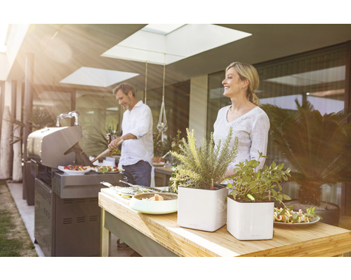 Szene im Freien mit einem Mann am Grill, einer Frau, Tisch mit Pflanzen und Speisen in einem Garten