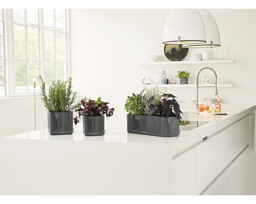 Drei graue Pflanzgefäße mit Kräutern auf einer Kücheninsel.
