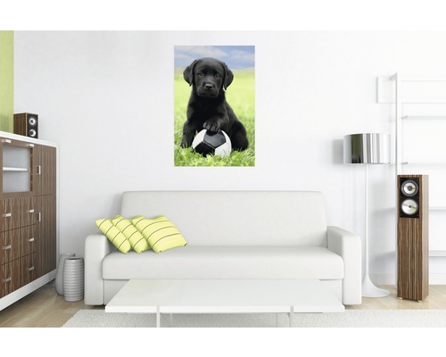 Wohnzimmer mit Sofa und einem Wandbild, das einen schwarzen Labradorwelpen mit einem Fußball zeigt