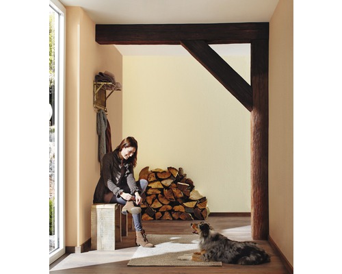 Flur mit Holzbalken, Frau auf Holzbank, Holzstapel und Hund auf Teppich