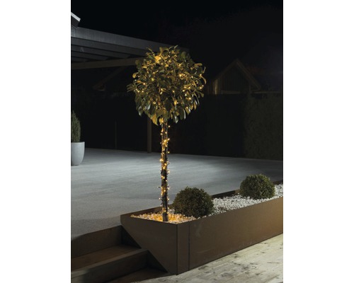 LED Lichterkette Konstsmide 19,12 m + 5 m Zuleitung Lichtfarbe bernstein 240 LEDs mit Glimmereffekt