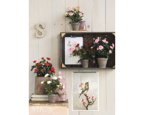 Dekorative Szene mit Rosen in Töpfen, einem Regal und Wandbildern