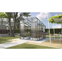 Gewächshaus im Garten mit geöffneter Tür und Pflanzen