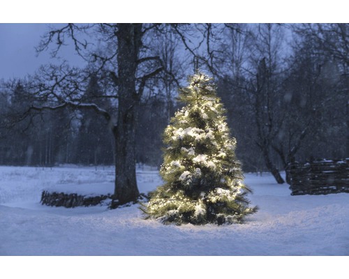 Beleuchteter Weihnachtsbaum im verschneiten Außenbereich
