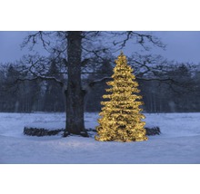 Beleuchteter Weihnachtsbaum im verschneiten Aussenbereich