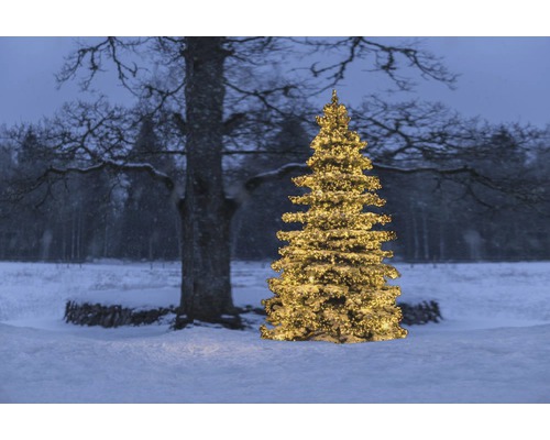 Beleuchteter Weihnachtsbaum im verschneiten Feld