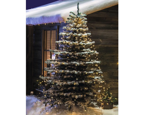 Schnee bedeckter Weihnachtsbaum mit Lichterkette vor einem Holzhaus.