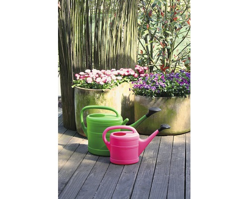 Szene mit zwei Gießkannen und bepflanzten Töpfen im Außenbereich