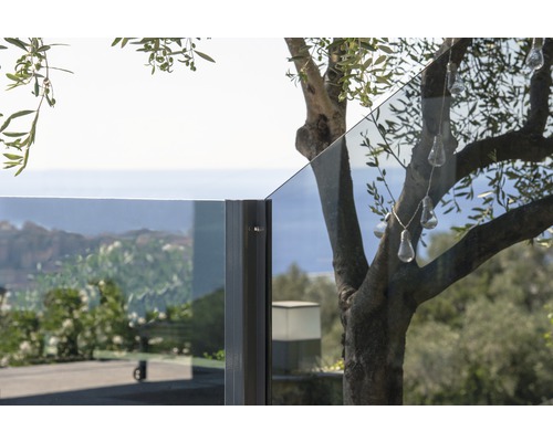 Glasgeländer mit Baum im Hintergrund