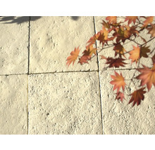 Nahaufnahme von Betonpflastersteinen mit Herbstlaub