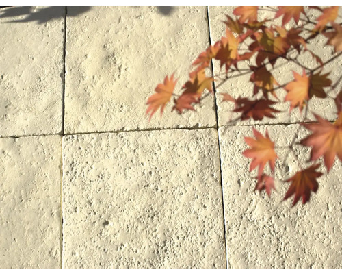 Nahaufnahme von Betonpflastersteinen mit Herbstlaub
