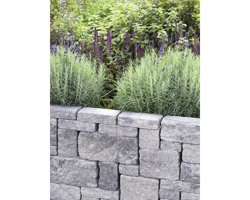 Gartenmauer aus Stein mit Bepflanzung