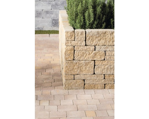 Eine Steinmauer mit Pflanzen und Pflastersteinen