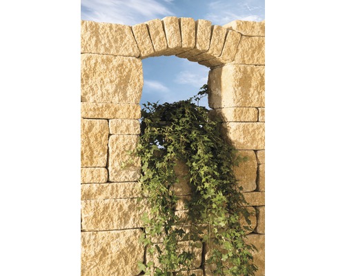 Gartenmauer mit Bogenöffnung und Efeu