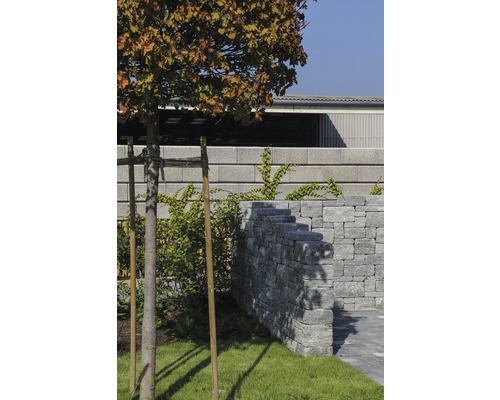 Gestalteter Garten mit Steinmauer und Baum