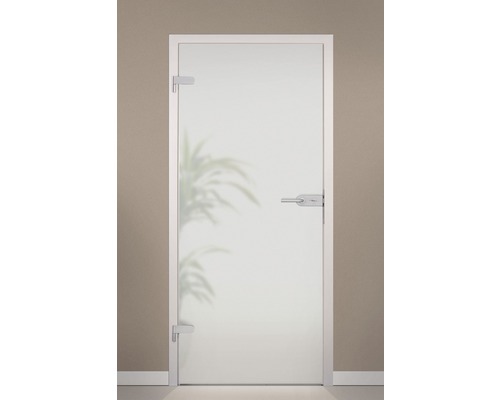 Glastür mit Beschlägen und Türgriff