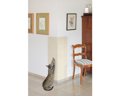 Katze kratzt an einem Eck-Kratzbaum im Innenraum.