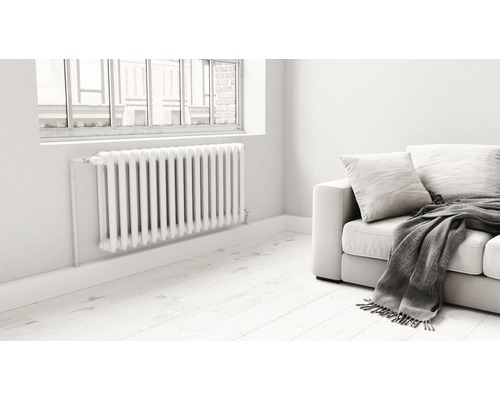 Zimmer mit Gliederheizkörper, Fenster und Sofa