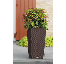 Hoher Pflanzkübel mit Pflanze auf einer Terrasse