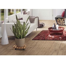 Wohnzimmer mit Holzboden, Sofa, Tisch und Zimmerpflanze