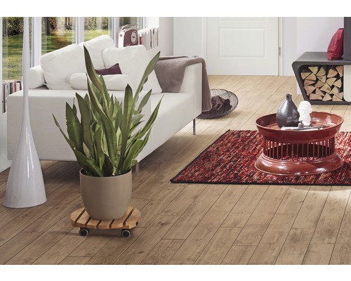 Wohnzimmer mit Holzboden, Sofa, Tisch und Zimmerpflanze