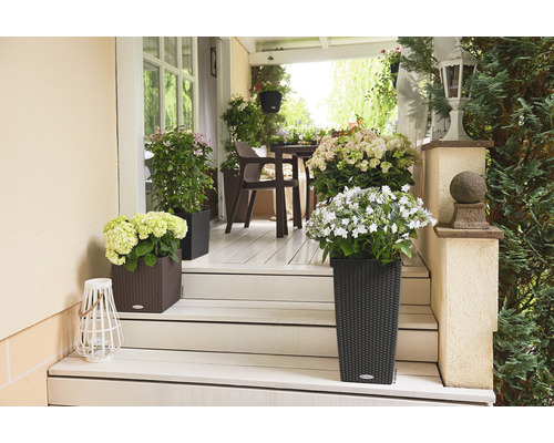 Terrasse mit Pflanzen in Pflanzgefäßen und Gartenmöbeln