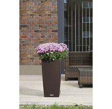 Blumentopf mit Blumen in einem Gartenbereich