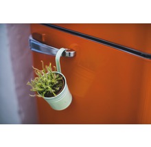 Eine Drosera Pflanze in einem Topf hängt an einem Türgriff.