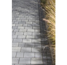 Pflastersteine aus Beton für den Gartenweg