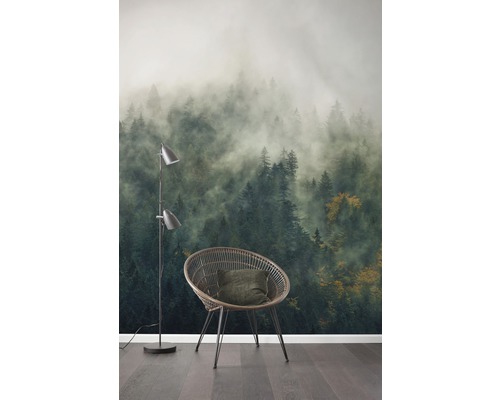 Szene mit Vliestapete, die einen nebligen Wald zeigt, einem Stuhl und einer Stehlampe