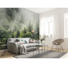 Wohnzimmer mit Fototapete, die einen Wald im Nebel zeigt