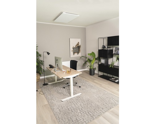 Büro mit Schreibtisch, Bürostuhl, Regal, Zimmerpflanzen und Deckenheizung
