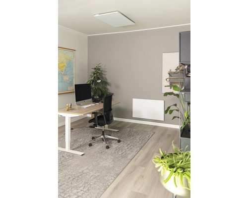 Büroraum mit Deckenheizung und Wandheizung, Schreibtisch, Bürostuhl und Zimmerpflanzen