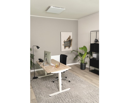 Modernes Büro mit höhenverstellbarem Schreibtisch, Deckenheizung und Zimmerpflanze