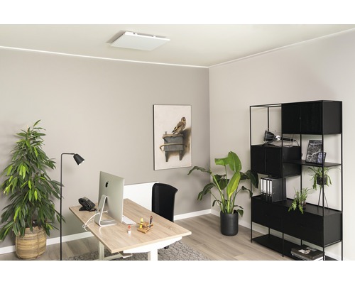 Modernes Büro mit Schreibtisch, Regal und Zimmerpflanzen für eine angenehme Arbeitsatmosphäre